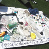 マイクロプラスチックによる海洋汚染