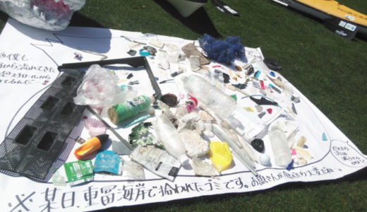 マイクロプラスチックによる海洋汚染って？